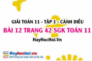 Giải bài 12 trang 42 Toán 11 tập 1 SGK Cánh Diều